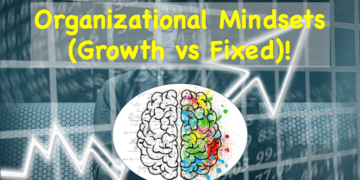 Organizational Mindsets