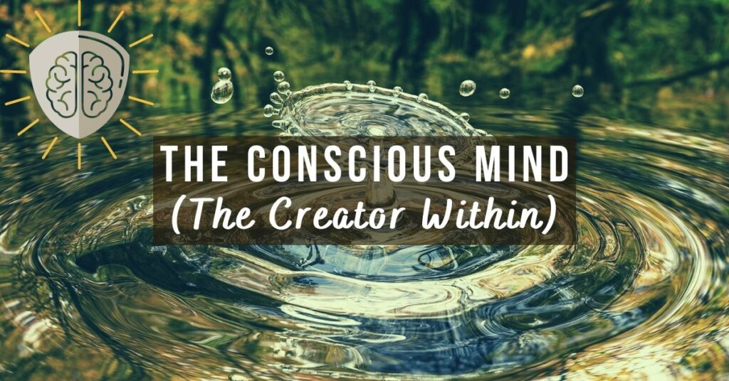 The Conscious Mind