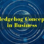 Hedgehog Concept in Business