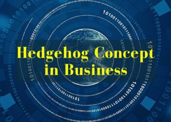 Hedgehog Concept in Business