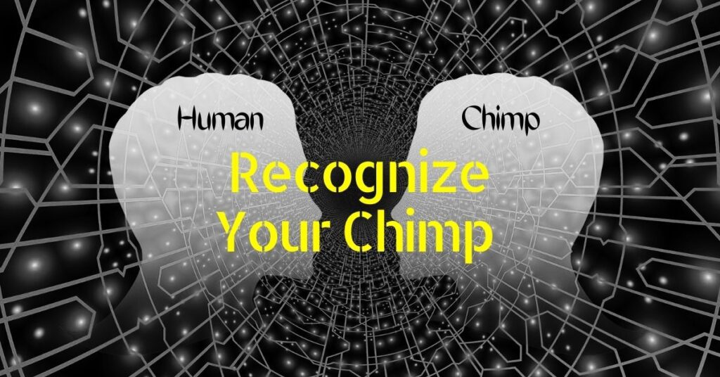 Recognize Your Chimp