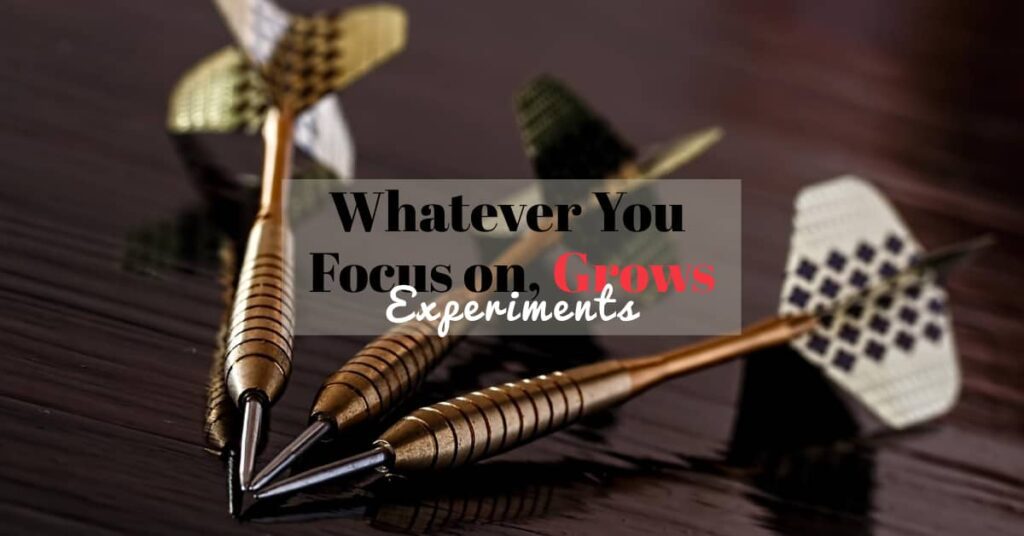 Focus