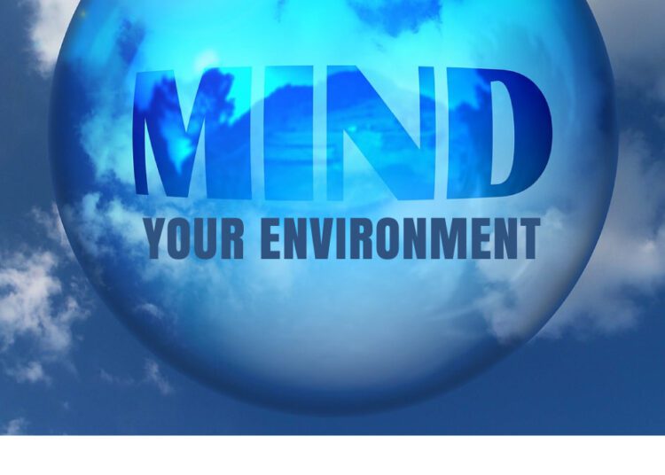 your environment