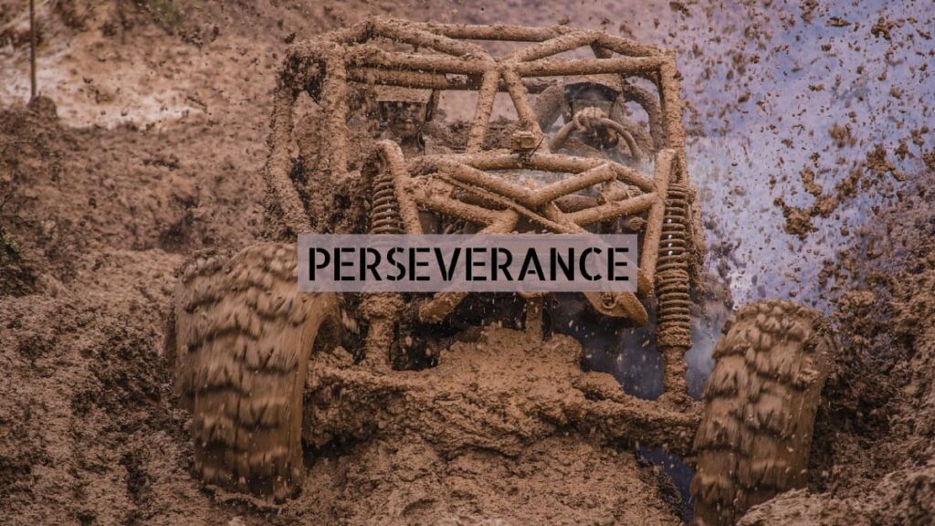 Perseverance