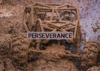 Perseverance