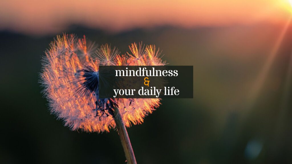 mindfulness and daily life