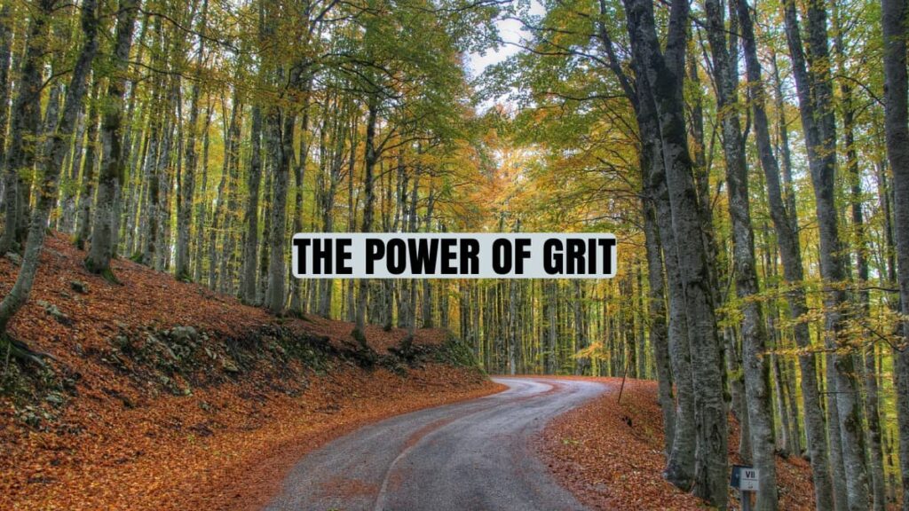 The Power of Grit