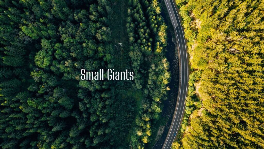 Small Giants
