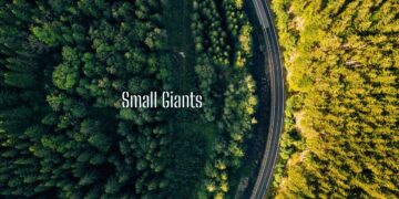 Small Giants