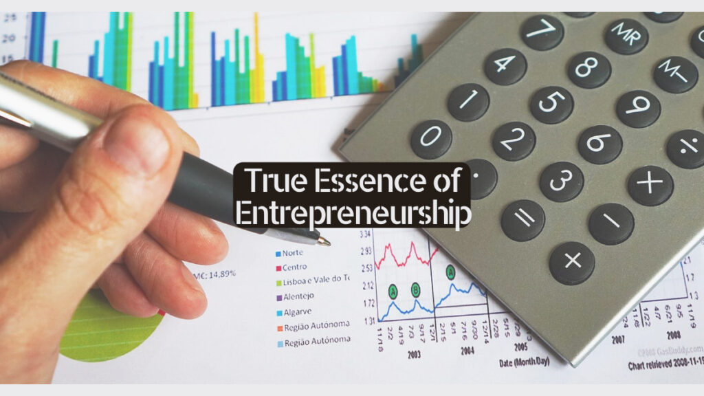 True Essence of Entrepreneurship