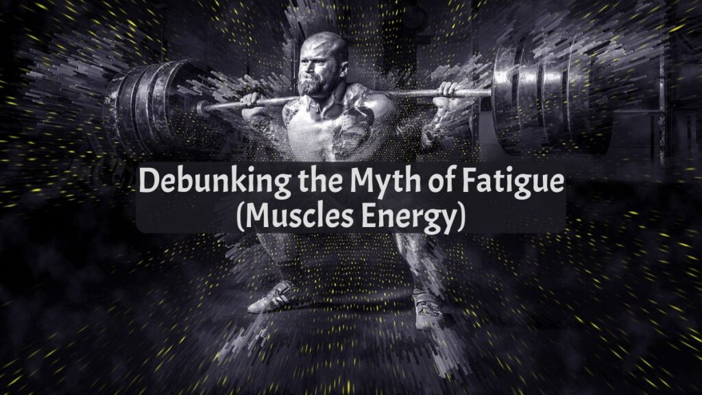 Your Muscles Energy Connection
