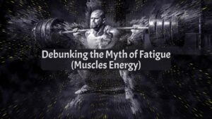 Your Muscles Energy Connection