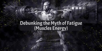 Your Muscles Energy Connection