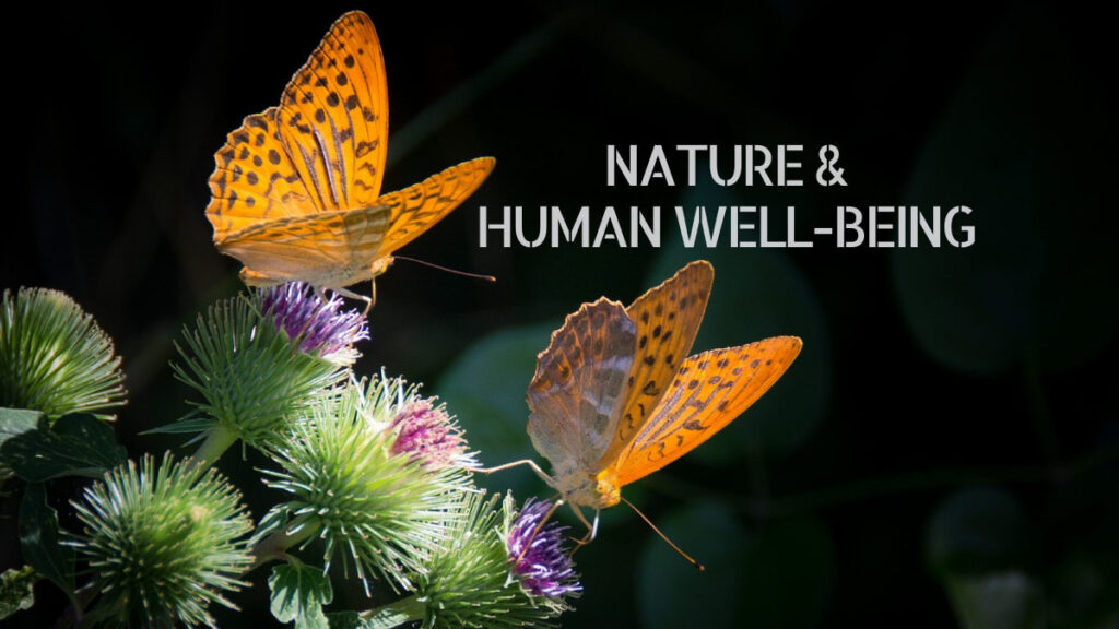 Nature and Human Well-Being