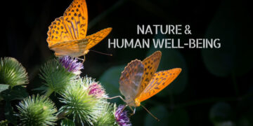 Nature and Human Well-Being