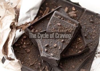 the Cycle of Craving