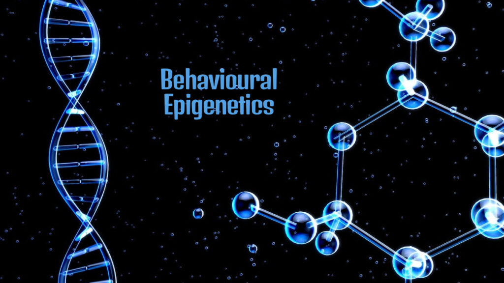 Behavioural Epigenetics