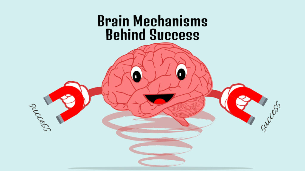 Brain Mechanisms Behind Success