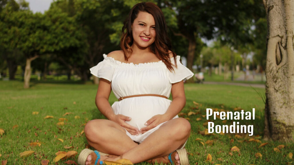Prenatal Bonding