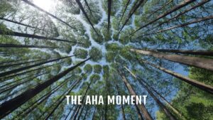 The Aha Moment