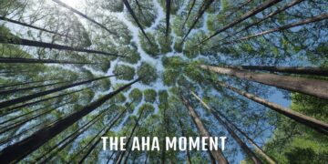 The Aha Moment