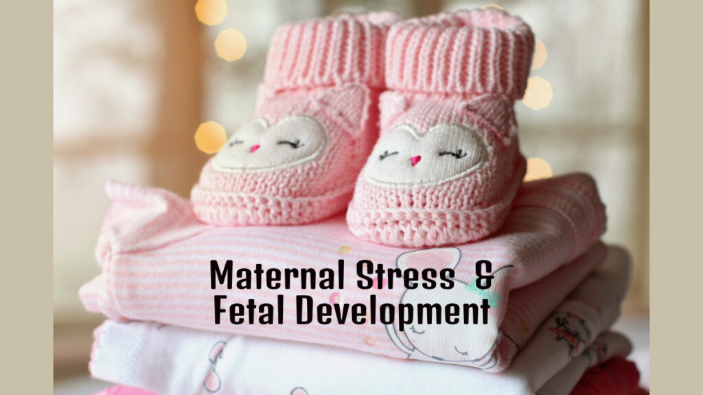Maternal Stress and Fetal Development