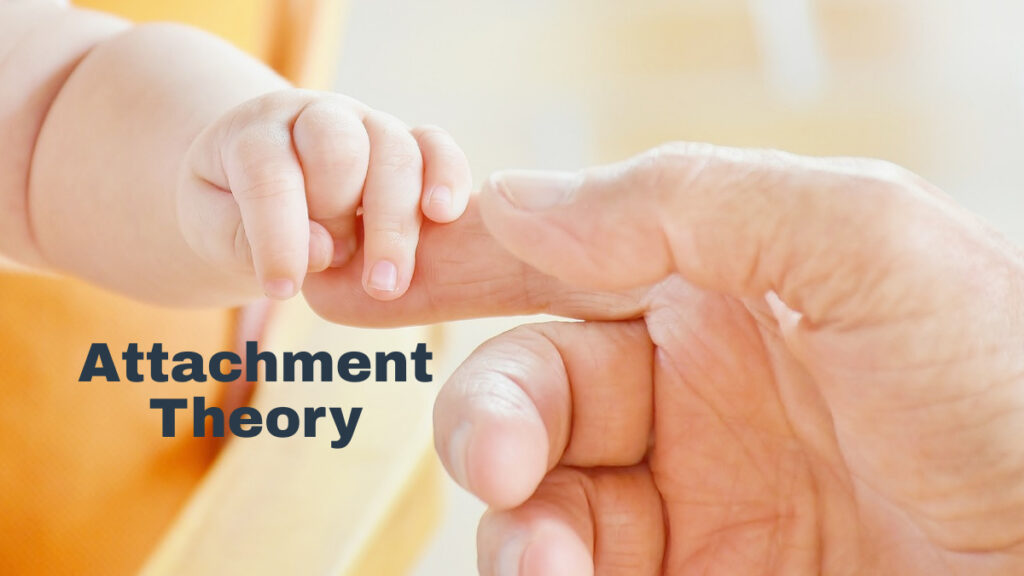 Attachment Theory