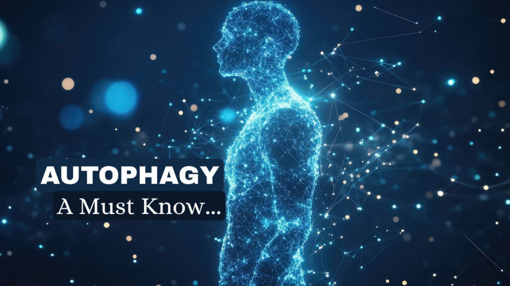 Autophagy