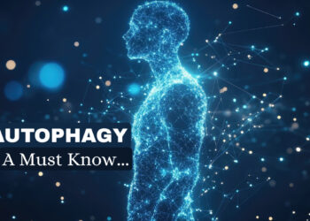 Autophagy