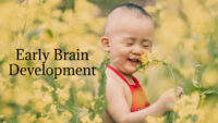 Early Brain Development