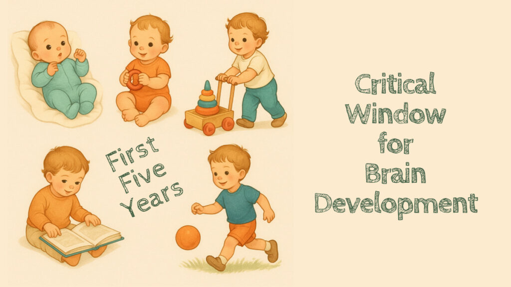 Critical Window for Brain Development