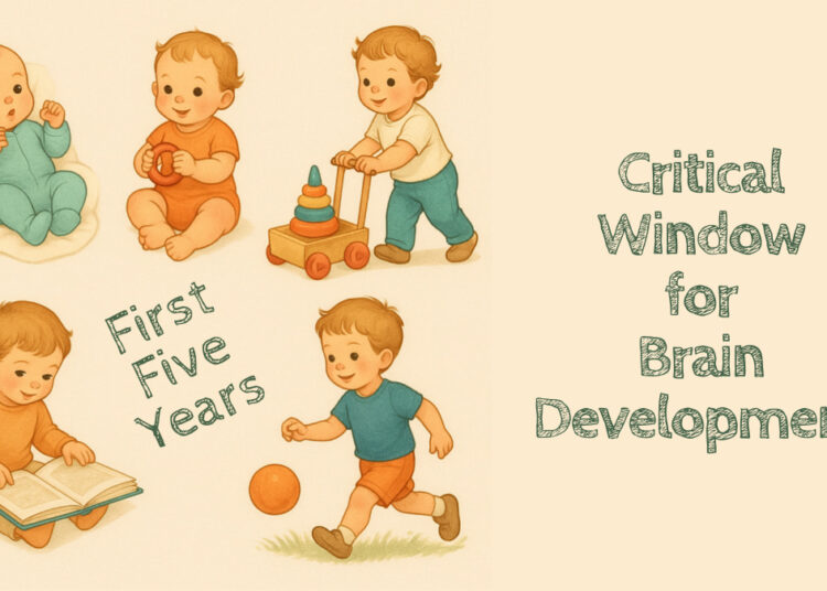 Critical Window for Brain Development