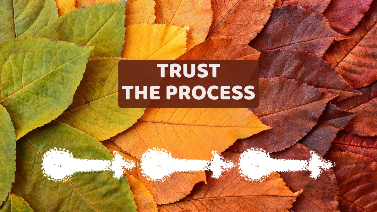 Trust the Process
