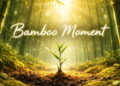 Your Bamboo Moment