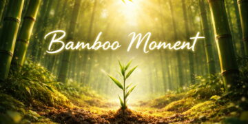 Your Bamboo Moment