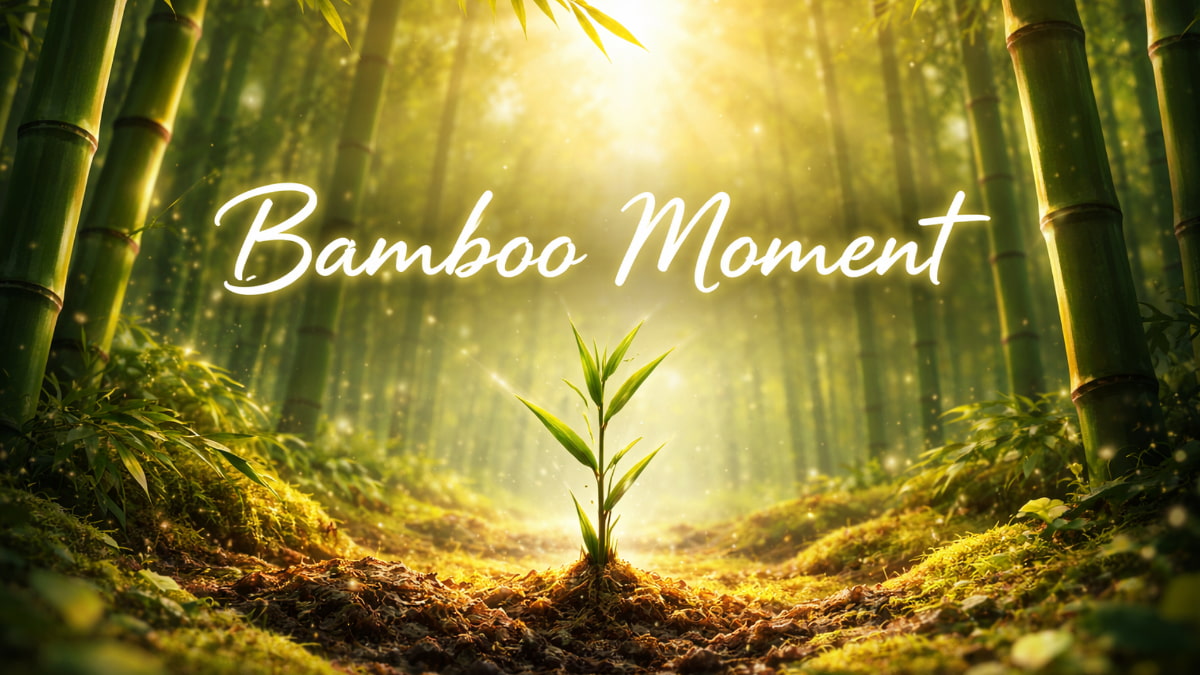 Your Bamboo Moment
