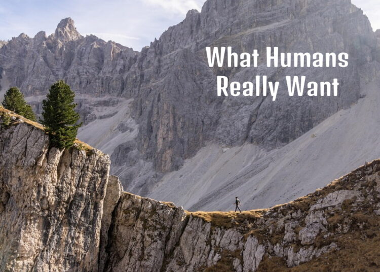 what humans really want